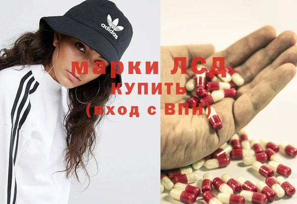 PSILOCYBIN Туринск
