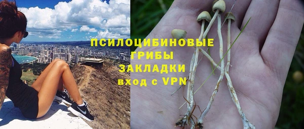 спиды Тында