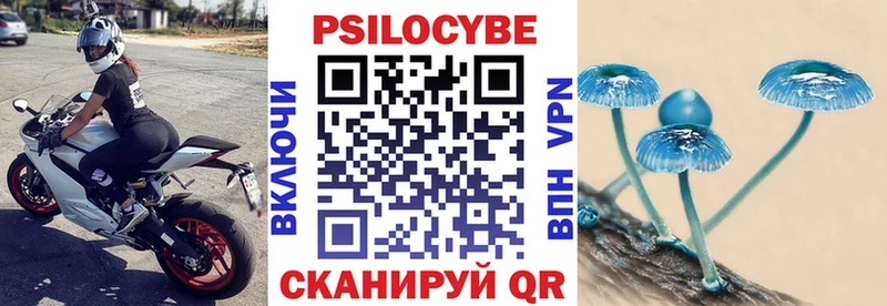 Галлюциногенные грибы Psilocybe  Горнозаводск 